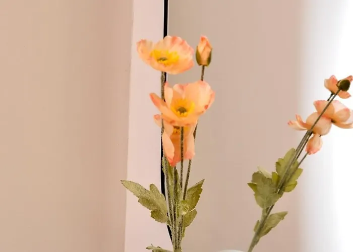 Nomade - Hyper-centre - 2 Personnes Rouen